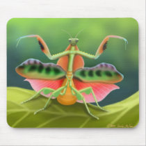 Mante de prière africaine Mousepad