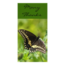 ManyThanks, TEYoung Fotokaarten
