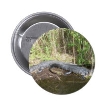 Marais - alligator badge avec épingle
