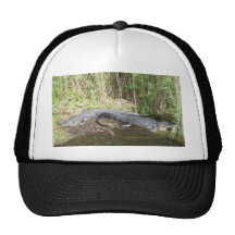 Marais - alligator casquettes de camionneur