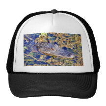 Marais d'Aligators d'alligator Casquette De Camionneur
