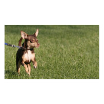 Marche de chien cartes de visite