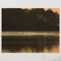 Marécage au coucher du soleil en silhouette prospectus