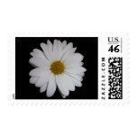 Margriet