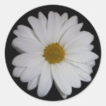 Margriet Ronde Stickers