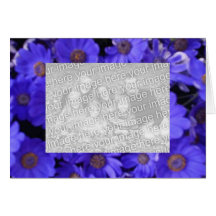 marguerite bleue 1, family_horz_placeholder cartes