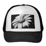 Marguerite Casquettes De Camionneur