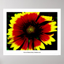 Marguerite couvrante marron (luminescente) affiche