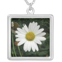 Marguerite de collier