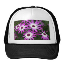 marguerite de fleur casquettes