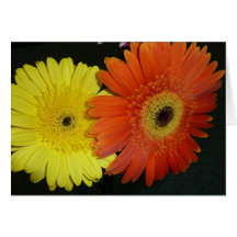 Marguerite jaune et orange de Gerber Cartes De Vœux