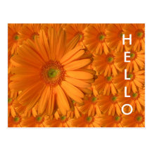 Marguerite orange de Gerber Carte Postale
