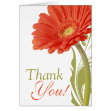 Marguerite orange de Gerbera du Merci | Cartes De Vœux