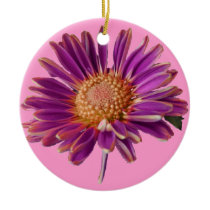 Marguerite pourpre rose décoration de noël