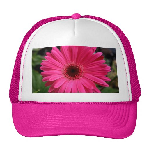 Marguerite rose de Gerbera Casquette De Camionneur