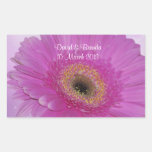 Marguerite rose et pourpre de Gerber Adhésif