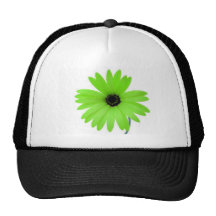 Marguerite verte casquettes
