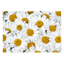 Marguerites cartes de visite
