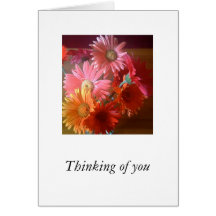 Marguerites de Gerbera Carte De Vœux