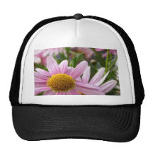 Marguerites de marguerite des prés de frutescens d casquettes de camionneur