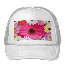 Marguerites de marguerites casquette