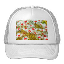 Marguerites des prés dans le domaine casquettes