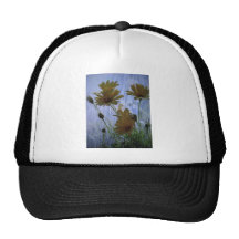 Marguerites des prés humides casquette