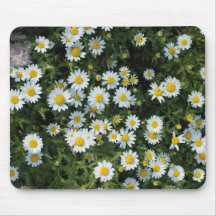 Marguerites Tapis De Souris