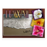 Mariage de destination - Hawaï Carte Postale