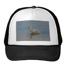 Marmer Grutto Petten Met Netje