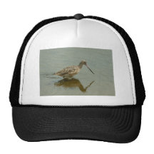 Marmer Grutto Trucker Petten