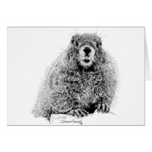 Marmot Carte De Vœux