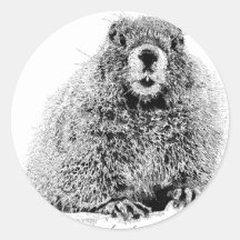 Marmot Sticker