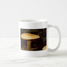 Matin d'or tasse