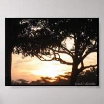 Matin Sun Affiches