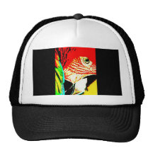 Matrices de perroquet casquette