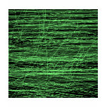 Matrix vert de la Jordanie
