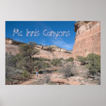 Mc Innis het Poster van de Reis van Canions