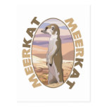 Meerkat Cartes Postales