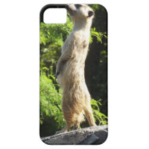Meerkat- op het Horloge iPhone 5 Cases