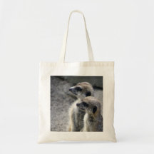 Meerkat Sac