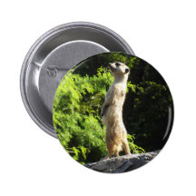 Meerkat- sur la montre badge