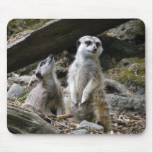 Meerkat Tapis De Souris