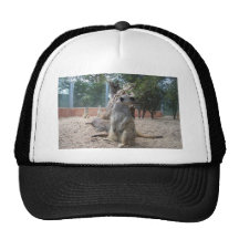 Meerkats merveilleux casquette de camionneur