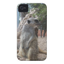 Meerkats merveilleux étuis iPhone 4