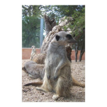 Meerkats merveilleux papier à lettre customisable