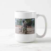 Meerkats merveilleux tasse