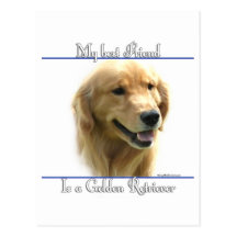 Meilleur ami 2 de golden retriever cartes postales