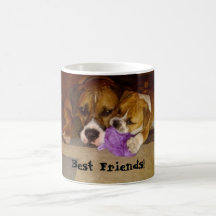 Meilleurs amis ! mug