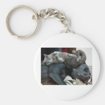 Meilleurs amis porte-clefs